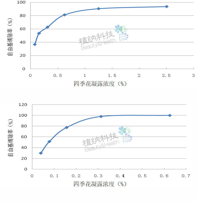 四季花凝露功效