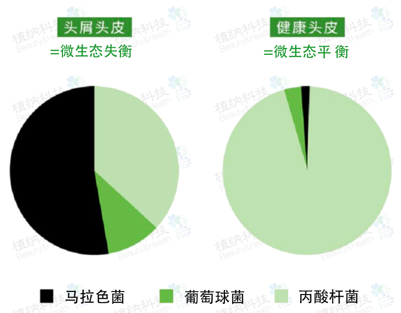 功效試驗(yàn)0.jpg